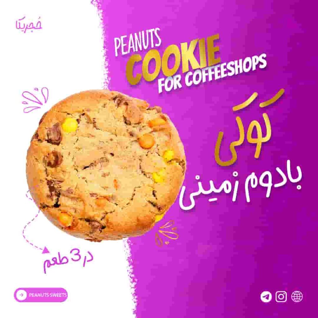 کوکی بادام زمینی -45 گرمی