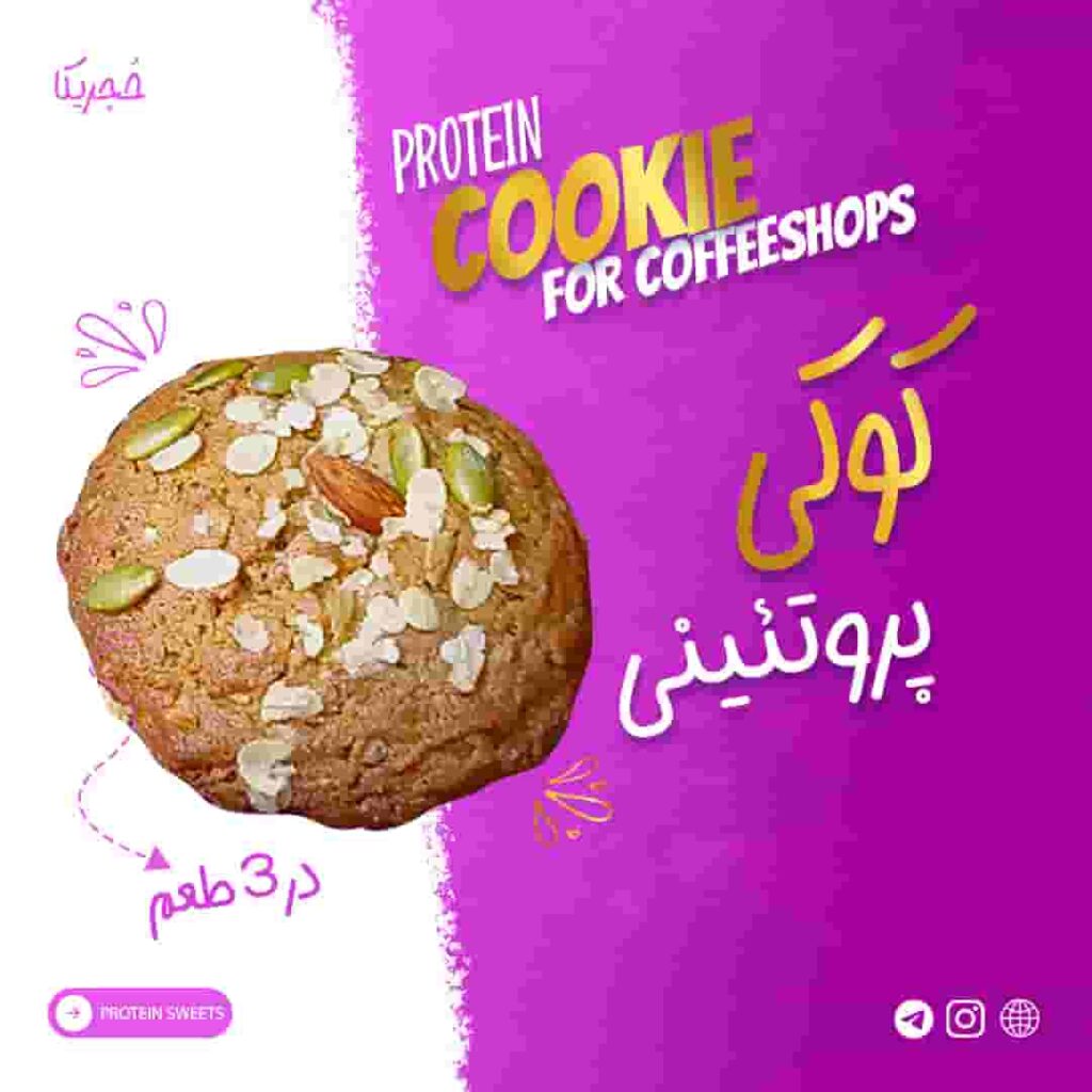 کوکی پروتئینی – 45 گرمی